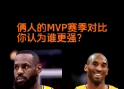 乐动体育-美媒评21世纪各年最强球员：詹姆斯8年科比3年的简单介绍